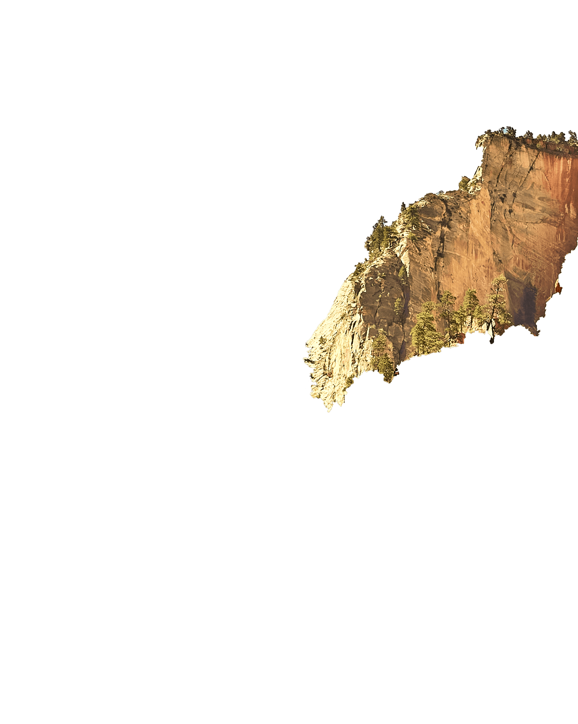 Mid cliff
